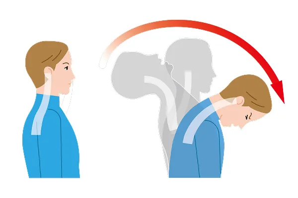 首がしなる様子